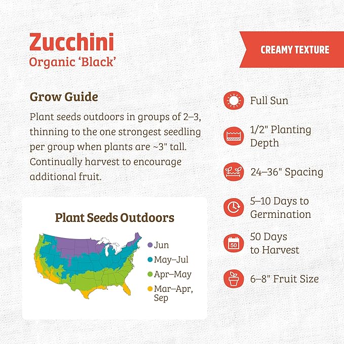 Back to The Roots 100% Organic Heirloom Seeds - Zucchini Value Pack (5.6g Total)