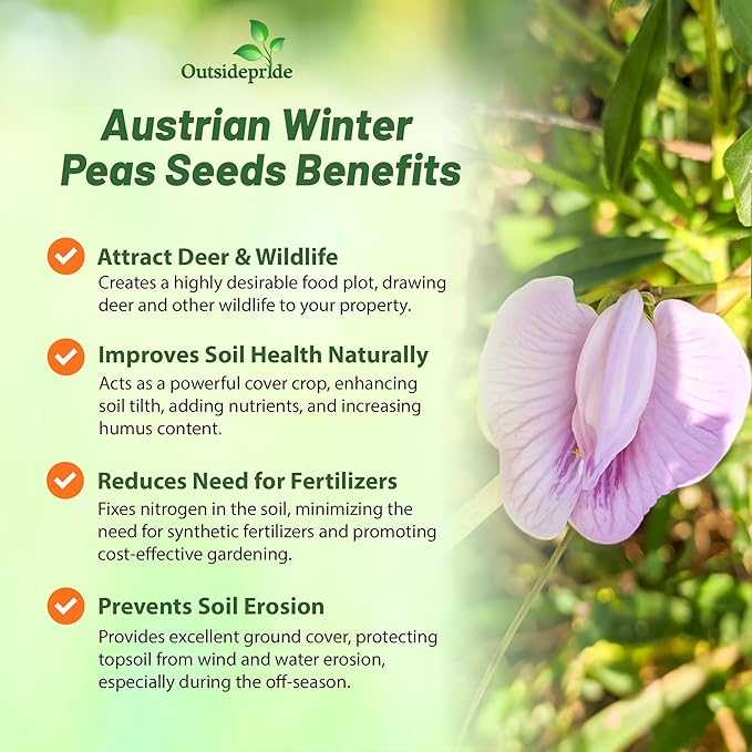 Outsidepride Austrian Winter Peas Seeds for Planting – 5 lbs Bag (Cool-Season Cover Crop, High-Protein Deer Food Plot Seed) Field Peas, Cover Crop Seeds, Spring Mix for Soil Health & Forage