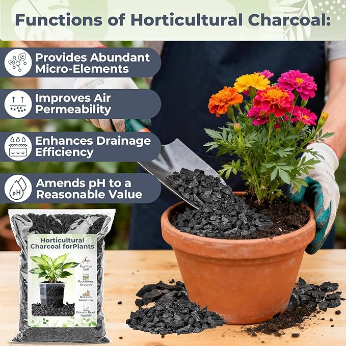 Sukh Horticultural Charcoal for Plants - 1Qt. Natural Earth Regulated Supplement for Potting Soil Indoor Plants, Organic Biochar, Succulent Soil, Paphiopedilum, Bonsai, Terrarium