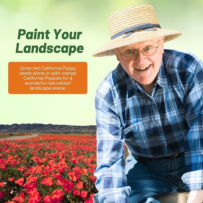 Outsidepride Red Chief California Poppy Seeds for Planting - 5000 Pcs Annual, Drought-Tolerant & Easy to Grow Wildflower Seeds with Vibrant Blooms for Landscaping, & Pollinator Garden
