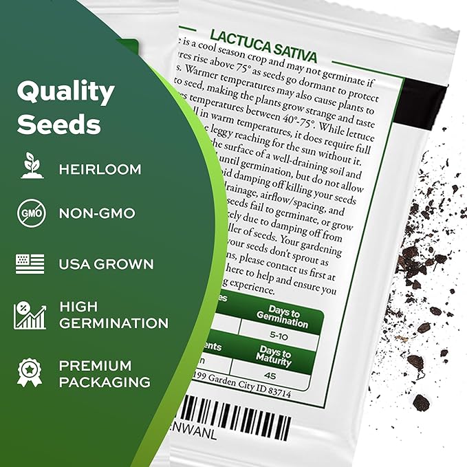 1000+ Oakleaf Lettuce Seeds - Heirloom Non-GMO USA Grown - Leaf Lettuce Seeds for Planting by RDR Seeds