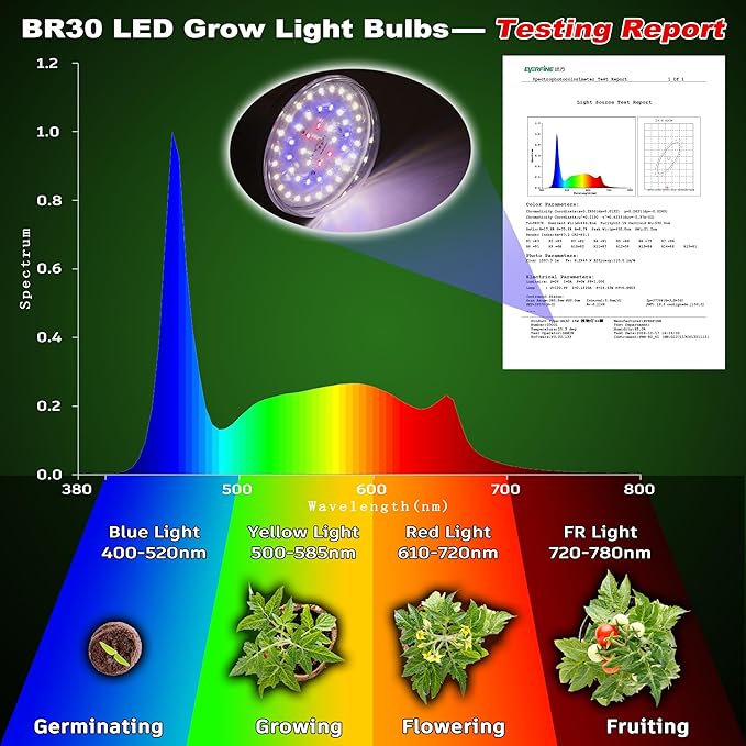 Full Spectrum BR30 Led Plant Grow Light Bulbs 15W 2000lm,E26 BR30 Floodlight Sun Plant Growing Lamp,200 Watt Equivalent,Balanced Spectrum 5000K Red Blue for Seeds Greens,Indore Garden, Hydroponic,2pcs