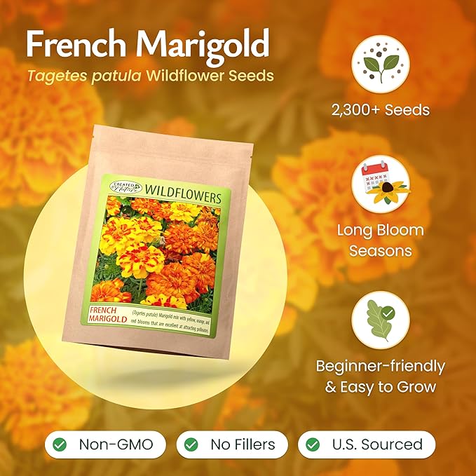 Created by Nature French Marigold Seeds, 2,300 Annual Wildflower Seeds
