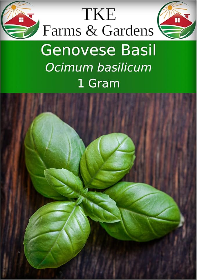 TKE Farms & Gardens - Genovese Basil Seeds for Planting, 600+ Heirloom Non-GMO Italian Basil Seeds, Sweet Culinary Herb, Grow Indoors or Outdoors, Delicious Basil Plants, Instructions Included