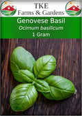 TKE Farms & Gardens - Genovese Basil Seeds for Planting, 600+ Heirloom Non-GMO Italian Basil Seeds, Sweet Culinary Herb, Grow Indoors or Outdoors, Delicious Basil Plants, Instructions Included