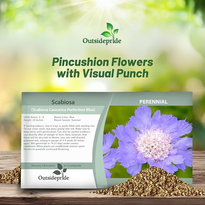 Outsidepride Perfection Blue Scabiosa Seeds - 400 Pcs Perennial Pincushion Flower Seeds That Attract Pollinators, Upright & Neat Growth Habit for Small Gardens, Borders, Containers, & Xeriscaping