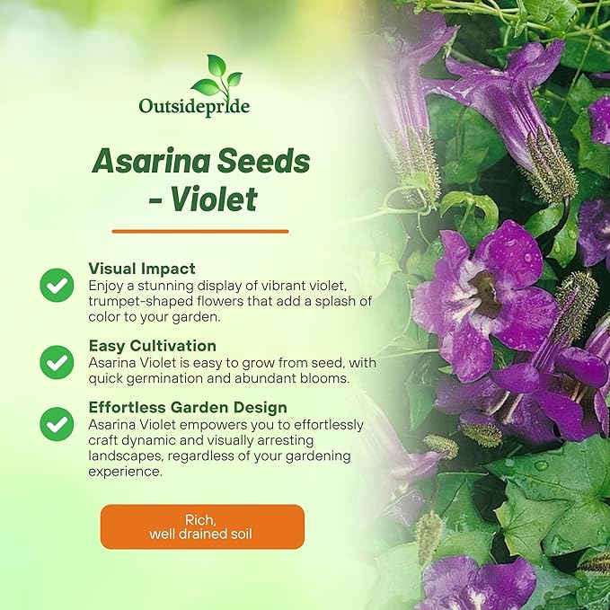 Outsidepride Violet Asarina Climbing Snapdragon Seeds - 100 Pcs Perennial Flower Seeds for Planting, Easy to Grow Climbing Vines w/Attractive Flowers for Containers, Trellises, & Ground Cover