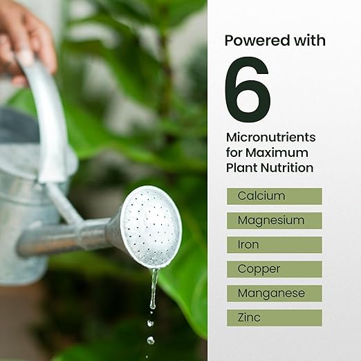 16oz Fiddle Leaf Fig Plant Food - Makes 96 Gallons of Fertilizer, Liquid Houseplant Fertilizer for Ficus Plants, Ideal Fiddle Leaf Fertilizer, 6-2-4 NPK Ficus Plant Food for Strong, Healthy Growth
