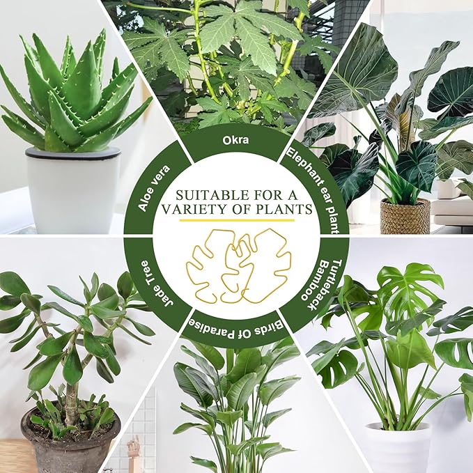 Monstera Plant Support 5 Pack, Plant Supports for Indoor Plants, Metal Plant Stem Holder Large Plant Support Ring for Climbing Plants Stem Stabilizer Moss Pole Growth