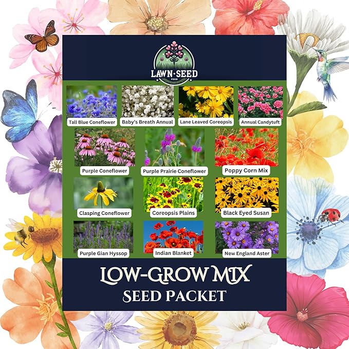 Low Growing Wildflower Mix (Seed Packet) Sprinkle a Little Magic—Our Shade, Perennial, Hummingbird, Deer-Resistant, and Other mixes Bring Vibrant Color and pollinator Joy to Any Space.