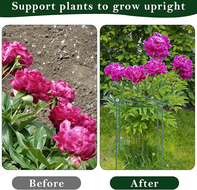 6 Pack Peony Cages and Supports, 11.8" Plant Support Ring with Detachable Extension Rod, Extends to 23.6" H, Heavy Flower Brace Ring Grow Through Plant Support Stakes for Tomato Hydrangea