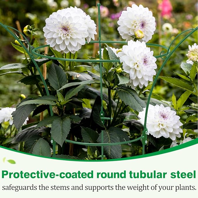 2 Pack Peony Cages and Supports Cages 13" D x 22.8" H Sturdy Metal Support Frame for Peonies & Roses Natural Bouquet Shape Garden Stakes for Outdoor Plants Flowers Ornamental (Green)