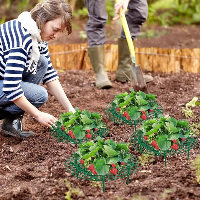 10 Pack Round Strawberry Plant Support,Strawberry Growing Kit,Reusable Plant Supports for Indoor Outdoor Growing
