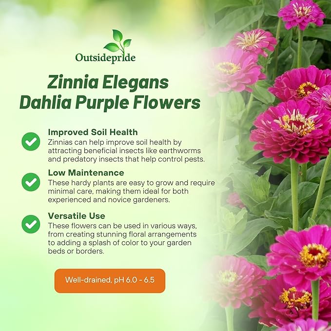 Outsidepride Purple Prince Zinnia Seeds - 1000 Pcs Annual, Low Maintenance and Long-Blooming, Flower Seeds for Planting w/Aesthetic Wide Purple Blooms, Ideal for Cut Flowers & Pollinator Gardens