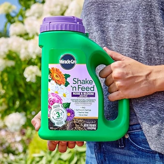 Miracle-Gro Shake 'n Feed Rose & Bloom Plant Food - Long-Lasting Granular Fertilizer for Flowering Plants, Feeds Up to 3 Months - 4.5 lbs.