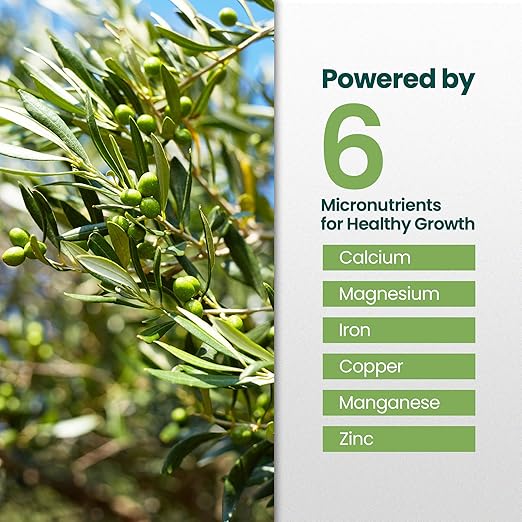 32oz Olive Tree Fertilizer – Makes 32 Gallons of Olive Plant Food – 2-in-1 Liquid Plant Food with Macronutrients + Micronutrients for Lush Foliage, Strong Roots, Bountiful Harvests & Plump Fruits