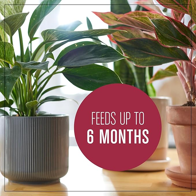 Miracle-Gro Houseplant Potting Mix - Fertilized Indoor Plant Soil for Containers, Designed to be Less Prone to Gnats, 4 qt.