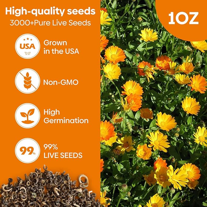 Groundio Calendula Seeds Pacific Beauty Mix, 3000+ Calendula Officinalis Seeds, Open Pollinated Non-GMO Wildflower Seed Grown in The USA, 1 Ounce