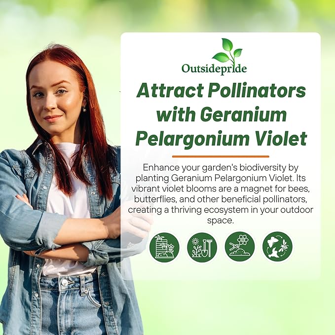 Outsidepride Violet Geranium Seeds for Planting - 50 Pcs Annual, Heat & Drought Tolerant Flower Seeds with Green Foliage & Violet Blooms for Pots, Borders & Lush Summer Garden Displays