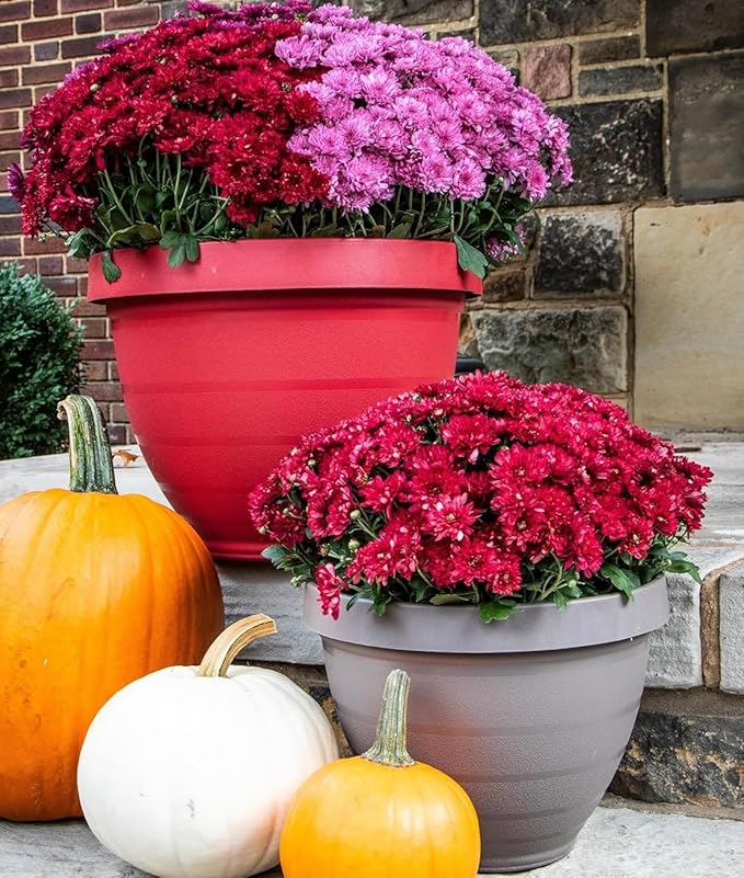 The HC Companies Rings Flower Planter - Self Watering Plant Pots for Herbs & More - Round Lightweight Outdoor & Indoor Planter (12" Warm Red, Pack of 2)