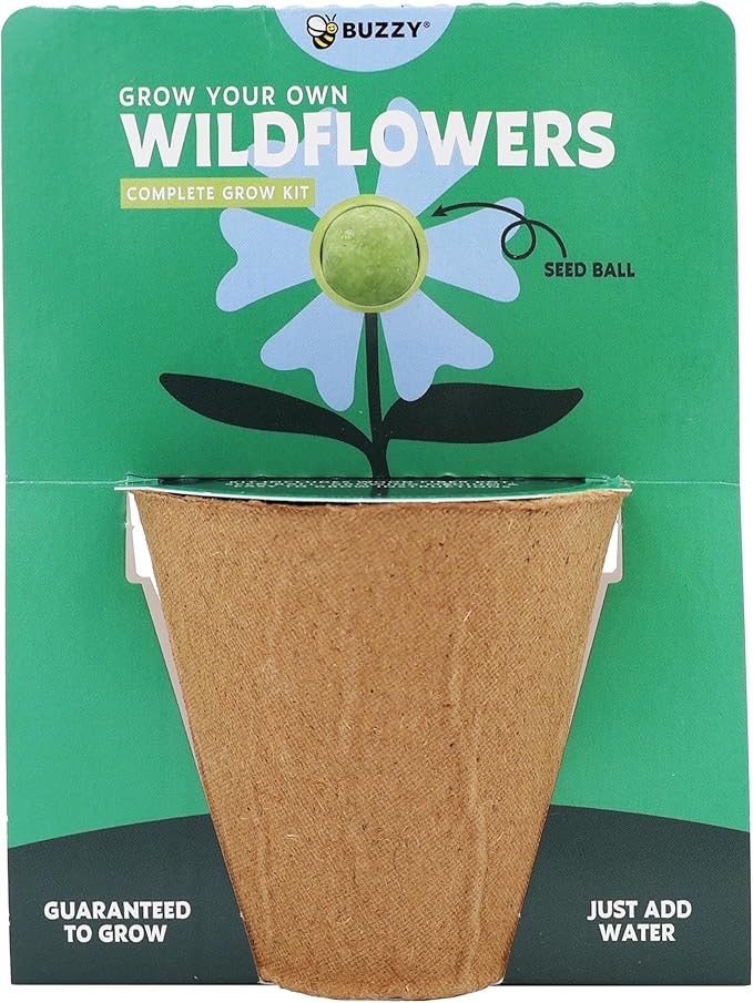 BUZZY Seeds Wildflower Seed Ball Cup 6-Pack – Over 50 Seeds Per Ball, Colorful Decorative Seed Balls in Biodegradable Cups with Growing Medium – Indoor Gardening Gift Set