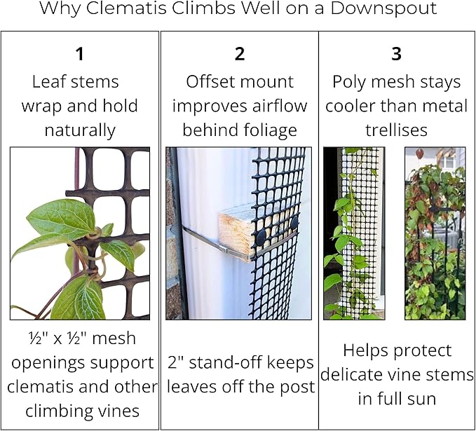 Downspout Trellis for Rain Gutters and Downspouts 9 ft x 4 in Climbing Plant Support HDPE Mesh with Mounting Hardware for Clematis and Vines, Scroll Trellis 1-Pack