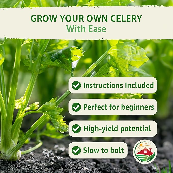TKE Farms & Gardens - Utah 52-70 Celery Seeds for Planting, Heirloom, Non-GMO, 2500+ Seeds, 1g Packet, Ideal for Fall & Winter Vegetable Gardens, Includes Growing Instructions