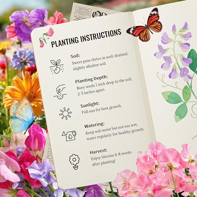 PLANTMEW Sweet Pea Seeds 200 Seeds - Non-GMO Heirloom Organic Seeds Brightly Colored Flowering Vines for Pergolas, Flower Beds, Balconies and Patios