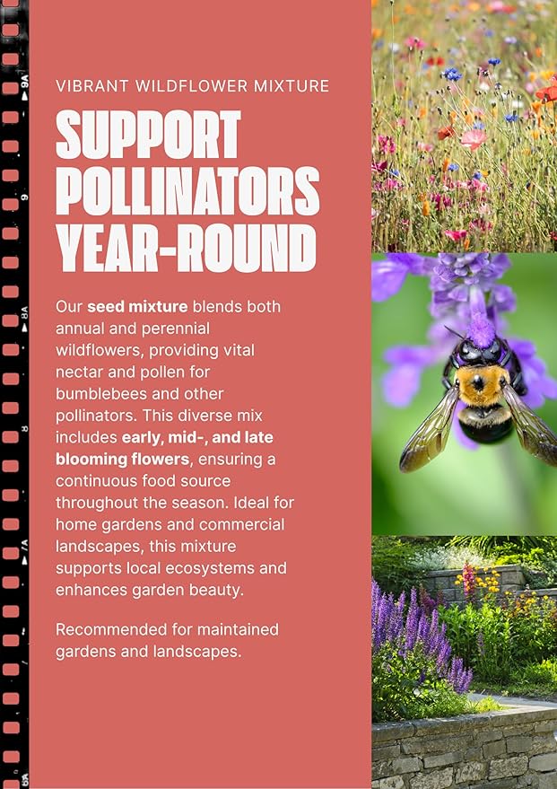 Bumblebee Pollination Bulk Wildflower Seed Mix 1lb Covers 2,000sq-ft - Attract Bumblebees, Multi-Color Blooms - Plant in U.S. in Spring/Summer/Fall - Earth-Friendly Packaging (1/2 Pound)