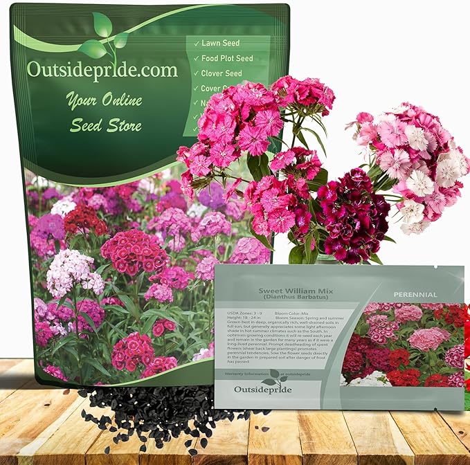 Outsidepride Sweet William Dianthus Seeds - 1 Lb. Perennial, Winter Hardy Wildflower Seeds w/Fragrant & Vibrant Blooms, Ideal for Pollinator Gardens, Cut Flowers & Colorful Landscaping
