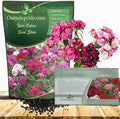 Outsidepride Sweet William Dianthus Seeds - 1 Lb. Perennial, Winter Hardy Wildflower Seeds w/Fragrant & Vibrant Blooms, Ideal for Pollinator Gardens, Cut Flowers & Colorful Landscaping