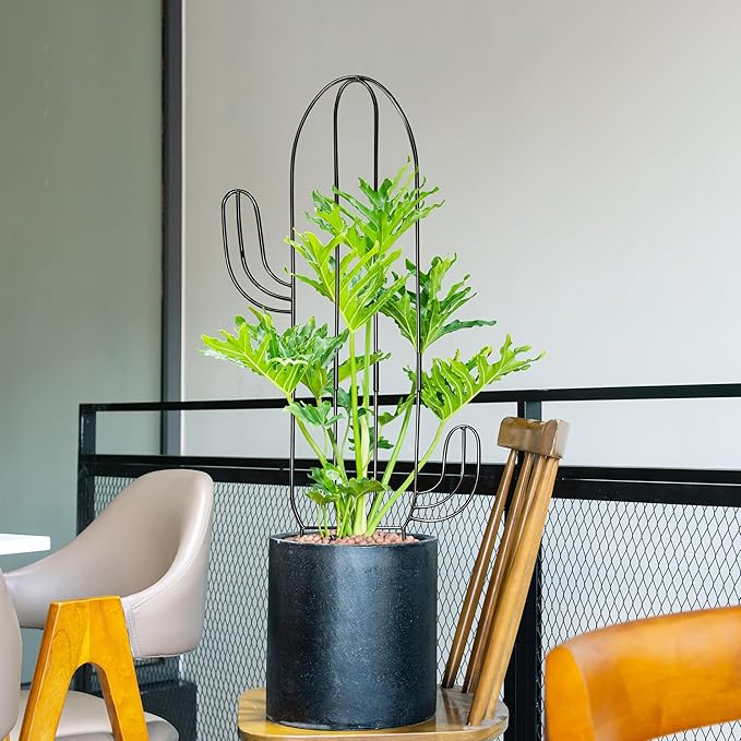 Plant Trellis for Climbing Plants Indoor, Heay Duty Cactus Trellis for Potted Plants, Pothos Hoya Monstera Metal Houseplant Climbing Support for Garden Balcony, 2P