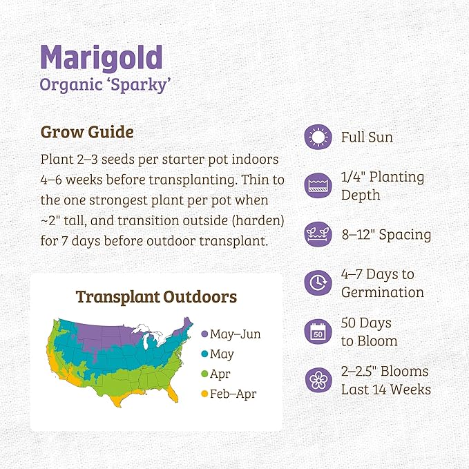 Back to The Roots 100% Organic Seed Packet - Marigold 'Sparky' 250mg