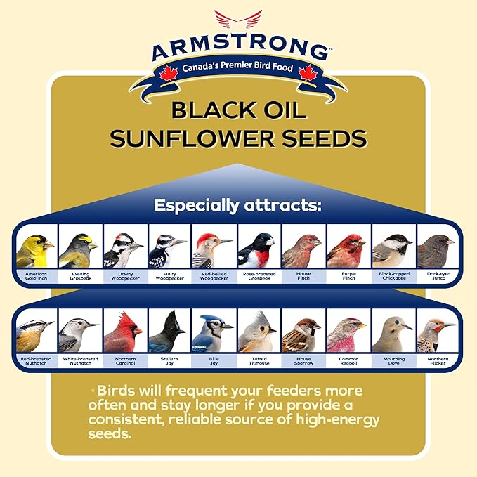 Armstrong Bird Food Black Oil Sunflower Bird Seed, 8 Pounds - for Northern Cardinals, Blue Jays and Hairy Woodpeckers - Ideal for Outside Feeders
