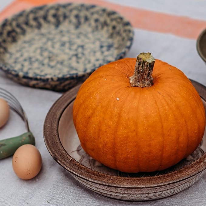 Small Sugar Pie Pumpkin - 25 Seeds - Heirloom & Open-Pollinated Variety, Easy-to-Grow, Non-GMO Vegetable Squash Seeds for Planting Outdoors in The Home Garden, Thresh Seed Company