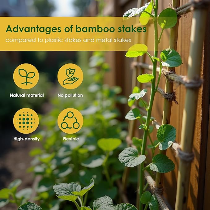 Bamboo Garden Stakes 3 Feet Plant Stakes for Roma Tomatoes Sunflowers Beans Potted and Climbing Plants - Pack of 25 Bamboo Sticks