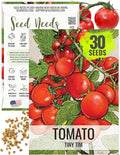 Seed Needs Tiny Tim Tomato Seeds for Planting Dwarf Cherry Tomatoes - Non-GMO Heirloom & Untreated Veggie Seed to Plant a Home Grown Outdoor Vegetable Garden (1 Pack)