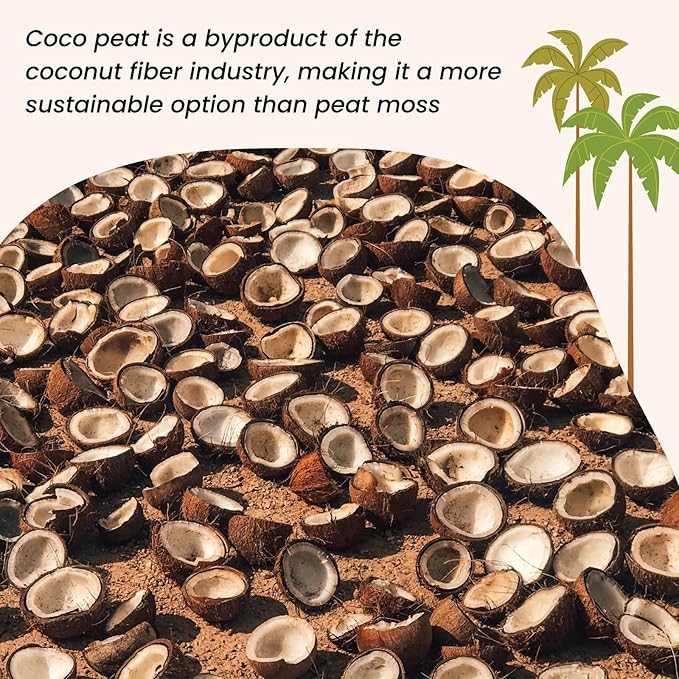 MagJo Naturals 100% Pure Coco Coir (Coco Peat) 11 Pound Block (5kg, OMRI Listed for Organic Gardening, Coconut Coir - Low EC and pH Balance - High Expansion Coco Fiber for Herbs, Flowers, Planting