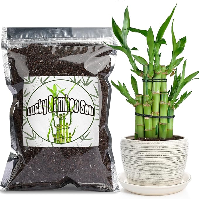 Premium Lucky Bamboo Soil Mix 10qt, Indoor Plants Potting Mix for All Potted Luncky Bamboo, Promote Healthy Growth and Longevity