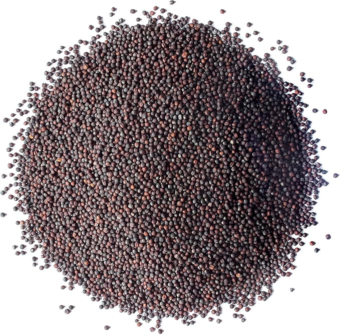 Food to Live Broccoli Seeds for Sprouting, 4 Ounces – Vegan, Kosher, Sirtfood, Bulk. Rich in Sulforaphane, Vitamin C, Vitamin A. Great for Growing Sprouts, Microgreens. High Germination Rate