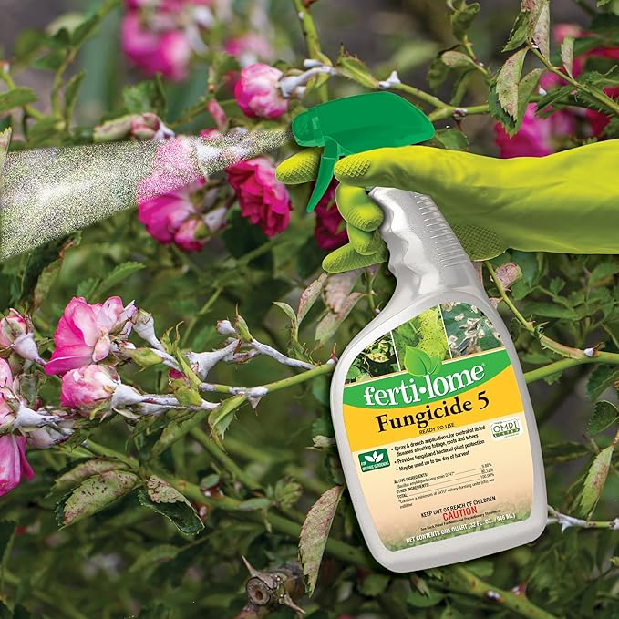 Fertilome (16116) Fungicide 5 Ready to Use, Plant Disease and Bacteria Control, OMRI Listed (32 oz.)