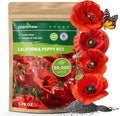 California Poppy Seeds for Planting, Red Poppy Flower Seeds, Bulk 50,000+ Seeds (1.76 oz), Easy to Grow, California State Flower for Garden