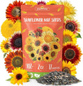 Sunflower Seeds for Planting | 3000+ Giant Mammoth Heirloom Bulk Seeds in 2oz Packet | High Germination, Open Pollinated, Attracts Pollinators for Home & Outdoor Gardens