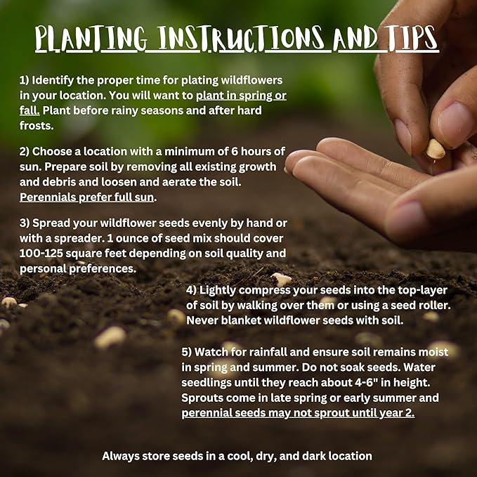 Michigan Bulk Perennial Wildflower Seed Mix 1lb Covers 2,000sq-ft - Attract Pollinators, Multi-Color Blooms - Midwest US Species Plant in Spring/Fall - Earth-Friendly Packaging (1/2 Pound)