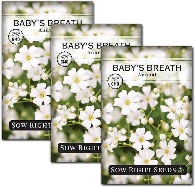 Sow Right Seeds - Annual Baby’s Breath Seeds for Planting - Non-GMO White Flowers Heirloom Packet with Instructions to Plant in Your Home Garden - Snow Like Blooms - Fresh and Dried Cut Flower (3)