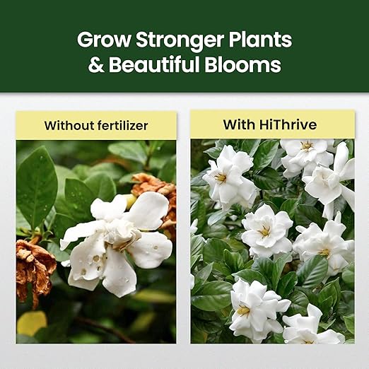 16oz Gardenia Fertilizer - Makes 96 Gallons of Indoor Plant Food for Gardenia Plants Live, Nutrient-Rich Outdoor & Indoor Plant Fertilizer, Flower Food for Vibrant Growth and Beautiful Blooms