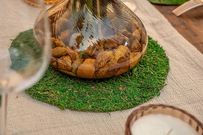 SuperMoss (26325) Moss Soil Toppers (Place Mats), Fresh Green, 16" (3 units)