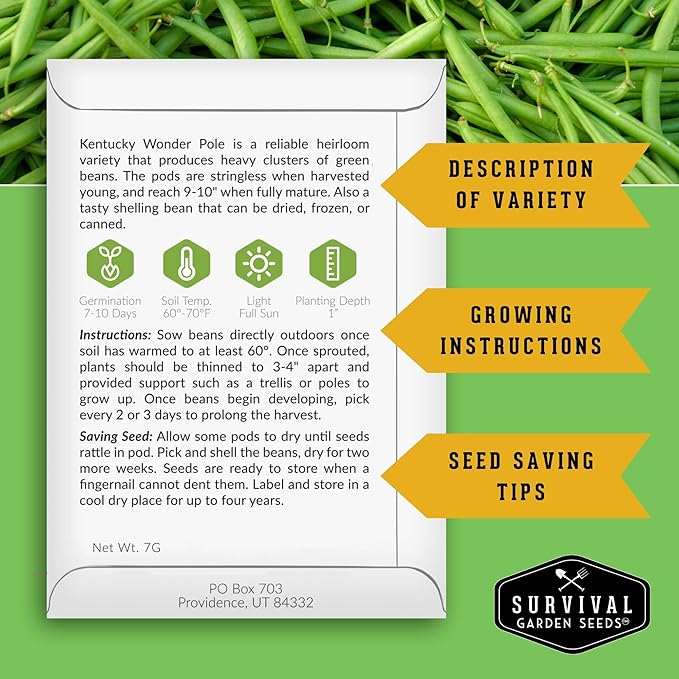 Survival Garden Seeds - Kentucky Wonder Pole Bean Seed for Planting - 3 Packets with Instructions to Plant and Grow Green Snap Beans in Your Home Vegetable Garden - Non-GMO Heirloom Variety