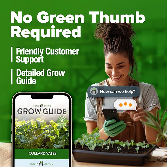 HOME GROWN Non GMO Collard Green Seeds - 300 Seeds for Fall Planting - High Germination Heirloom Vegetable Seeds, Vates Collard Greens Seed Pack (Brassica oleracea)