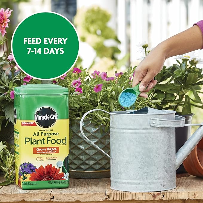 Miracle-Gro Water Soluble All Purpose Plant Food - Fertilizer For All Indoor or Outdoor Plants including Roses, Flowers, Vegetables, Houseplants, Trees, and Shrubs, 5.5 lbs.